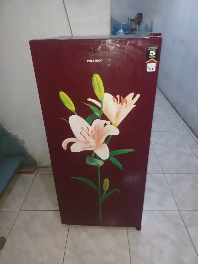 Kulkas polytron 1 pintu