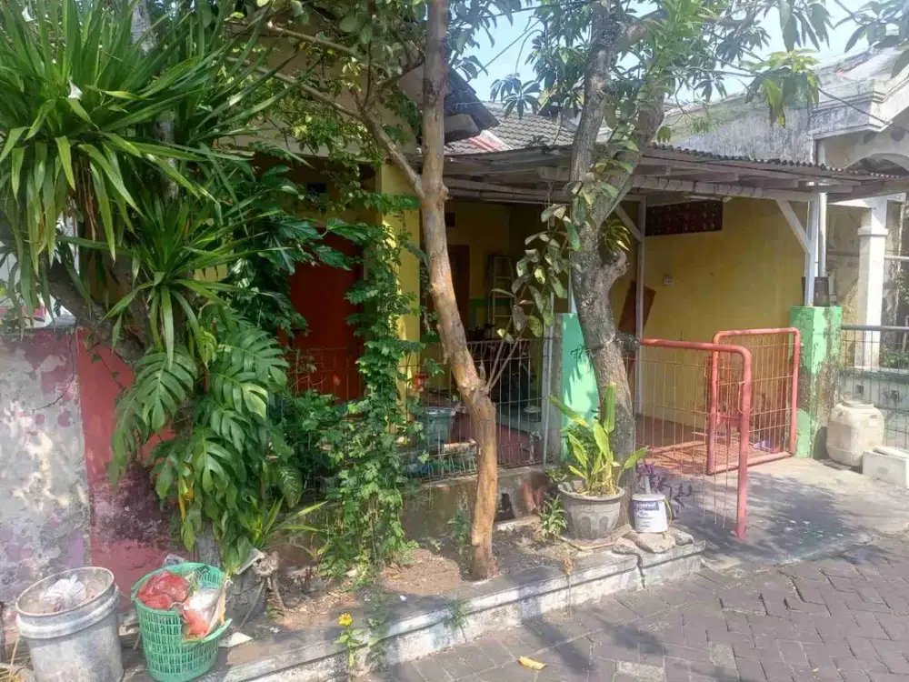 DI JUAL RUMAH

KEL. : KEPATIHAN
KEC. : MENGANTI
KAB  : GRESIK