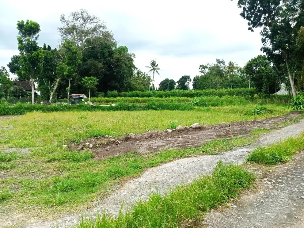 Cocok Dibuat LPK, Gudang atau Tempat Usaha Lain, Tanah Jogja 2 Jutaan Saja