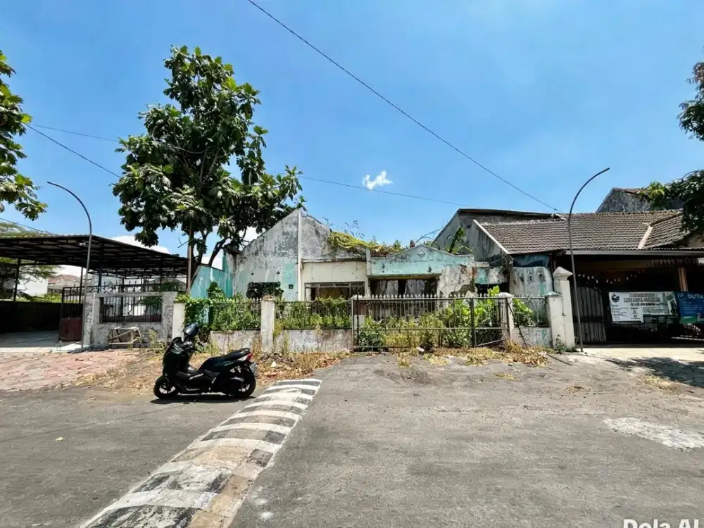 Tanah Papa Kuning Suhat