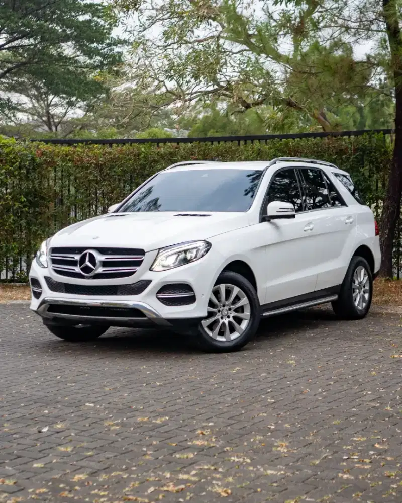 Mercedes Benz GLE 250 d 4MATIC W166