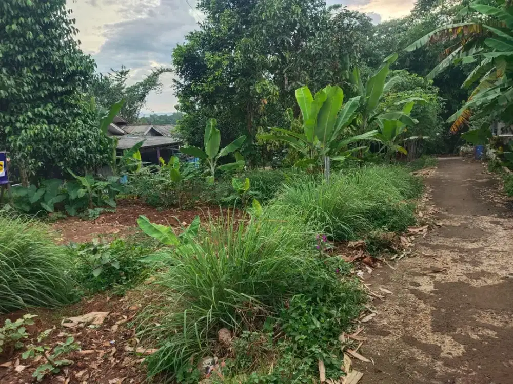 Cari Tanah di Gunung Sindur? Lahan Siap Bangun dengan Lokasi Potensial!
