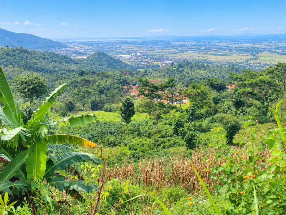 Kavling Baleendah Bandung 165.000 m² SHM Area Perbukitan Potensial untuk Villa & Resort