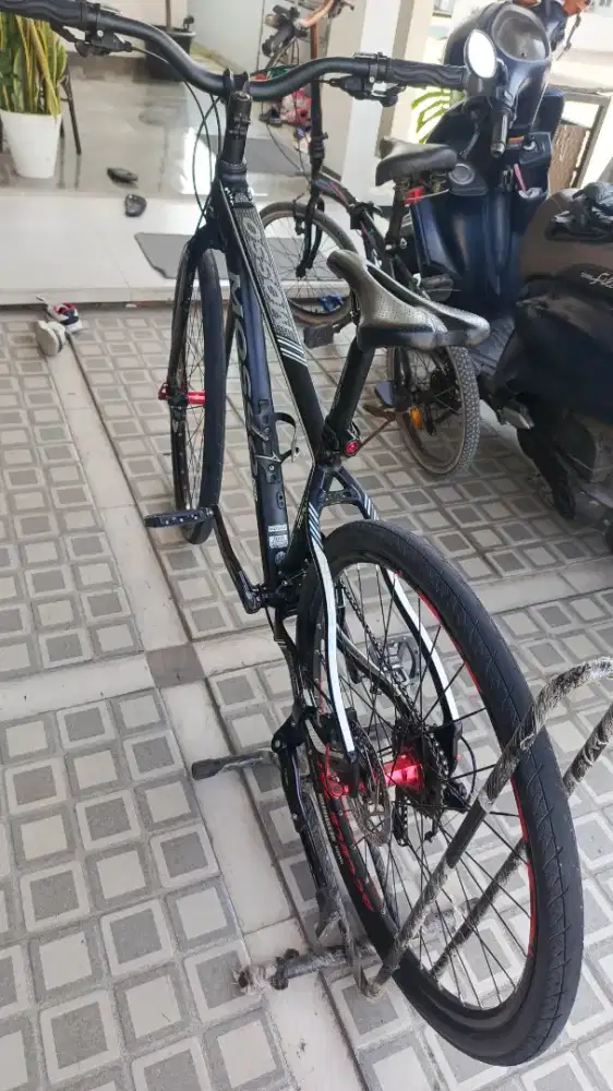 Mosso falcon V mulus like new