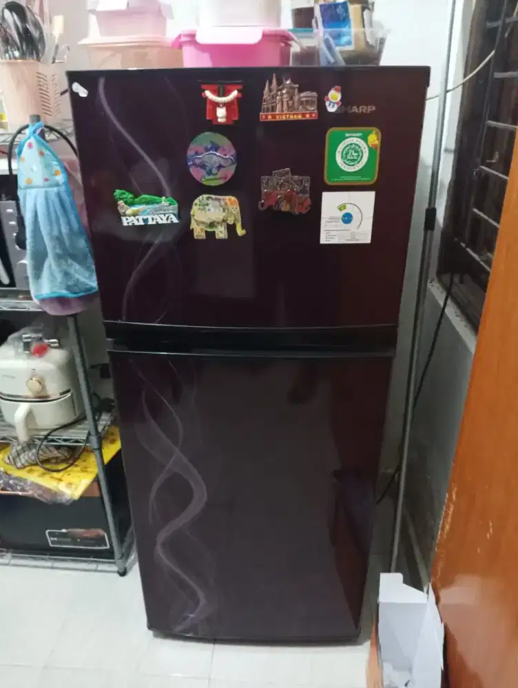 Sharp 2pintu ionsmart