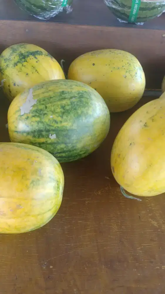 ready buah buah  fresh   murah  jupri capcuz
