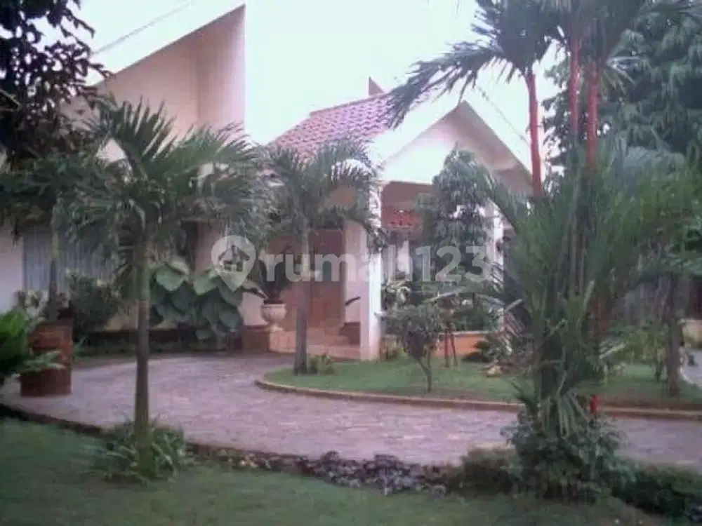 Rumah Asri 1 Lantai Halaman Luas Tepi Jalan Raya di Jakarta Selatan