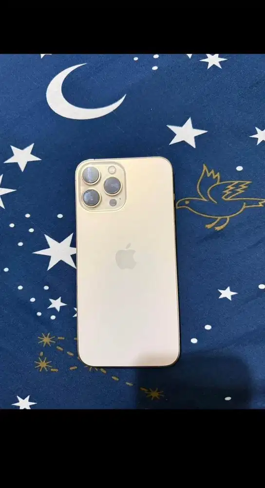 iPhone 13 Pro Max 128GB Beacukai setara iBox