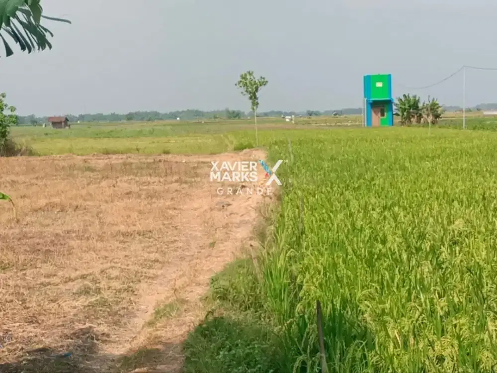 Dijual lahan industri di Nganjuk Jawa Timur
