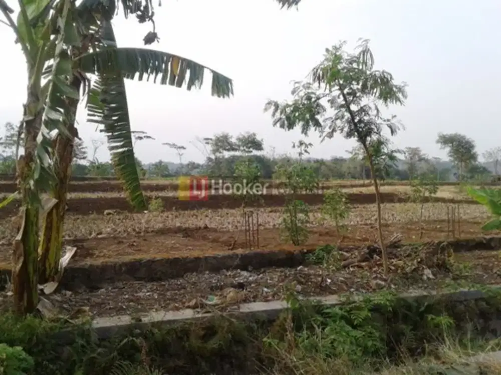 Kavling di Wonorejo Pringapus