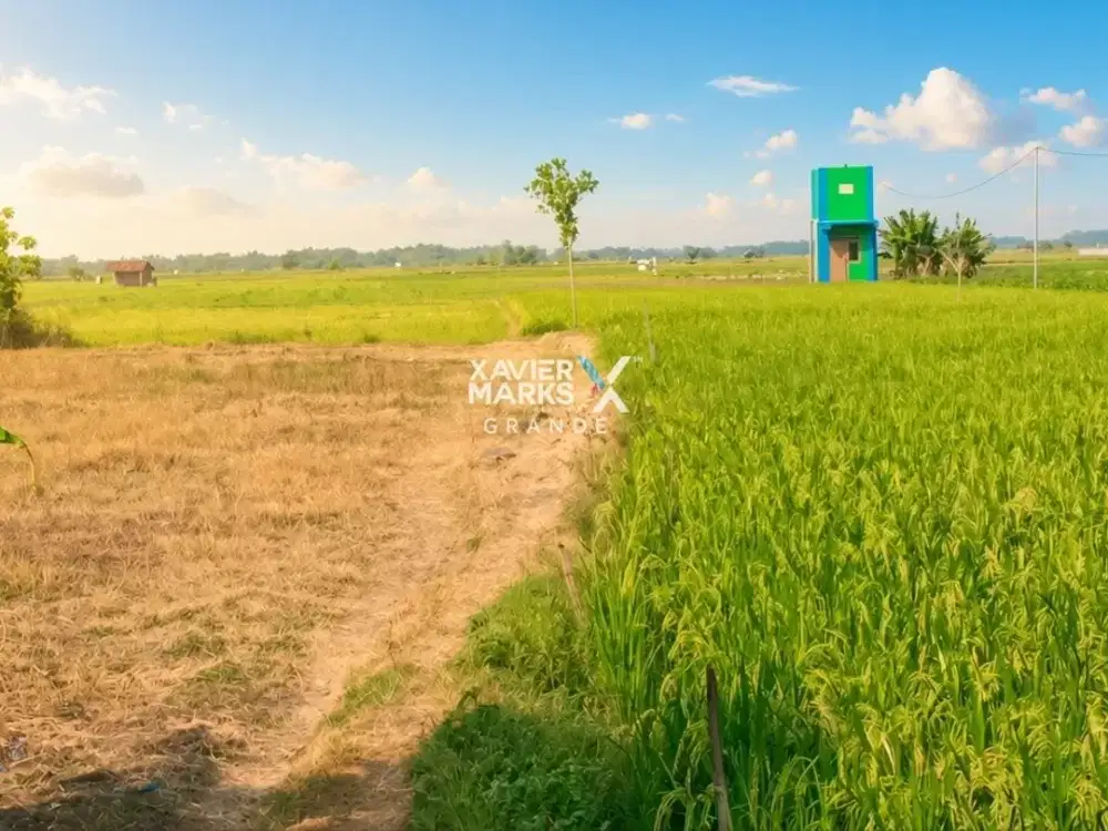 Dijual lahan industri di Nganjuk Jawa Timur