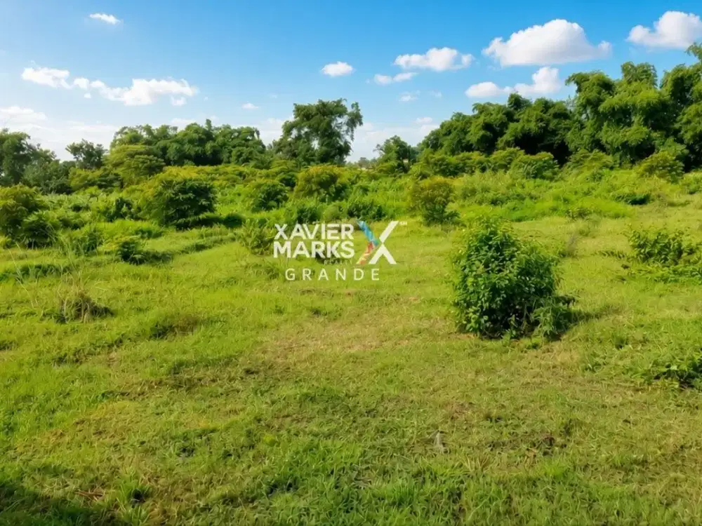 Dijual Tanah 0 jalan Raya Provinsi Pare Kediri
