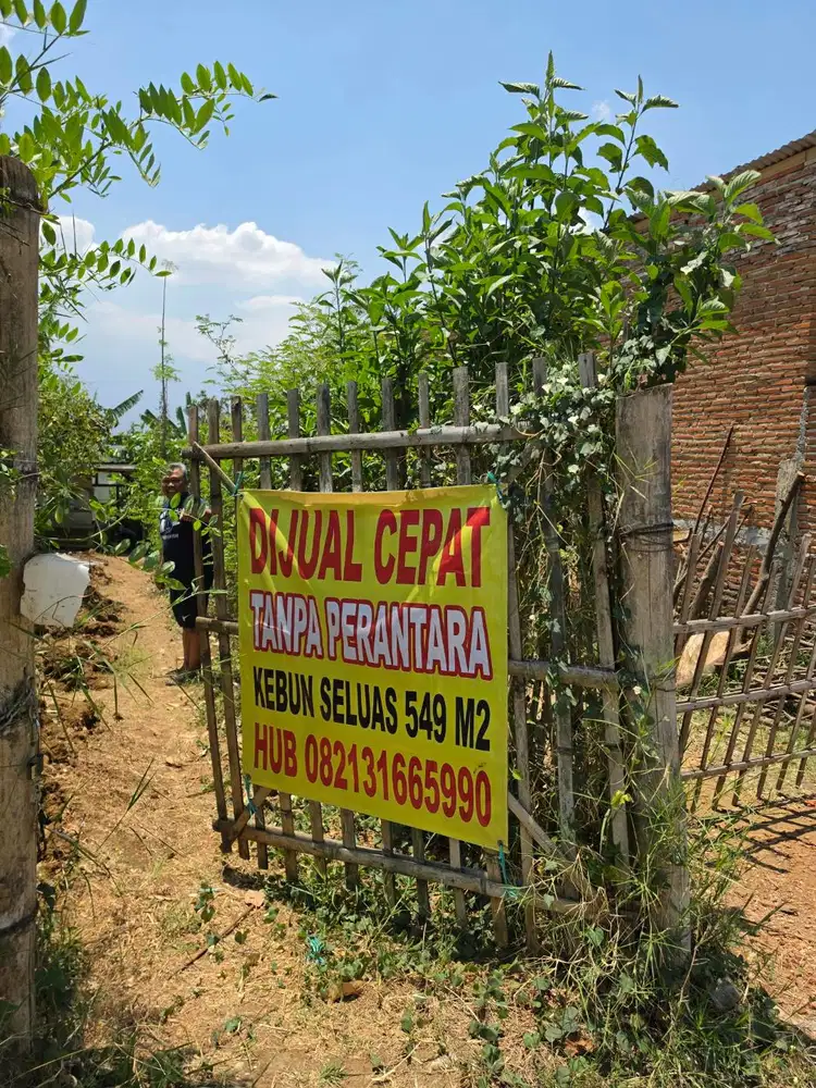 Jual tanah kebun jeruk durian alpukad siap panen