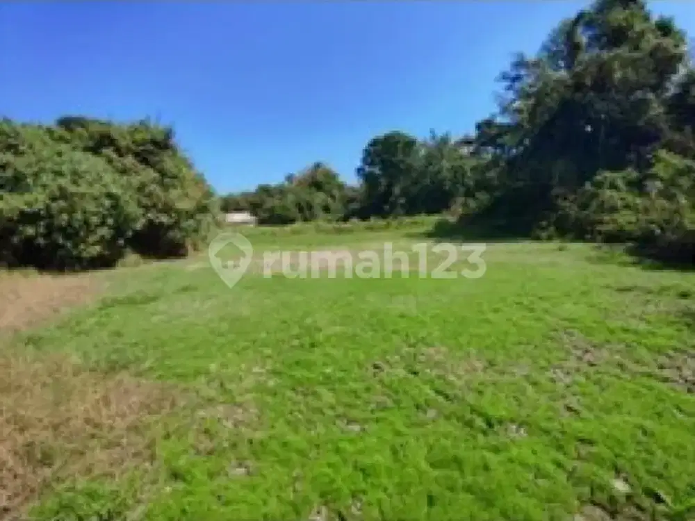Tanah 44 Are Dekat Pantai Yeh Gangga Tabanan - Cocok Villa Complex & Resort Development