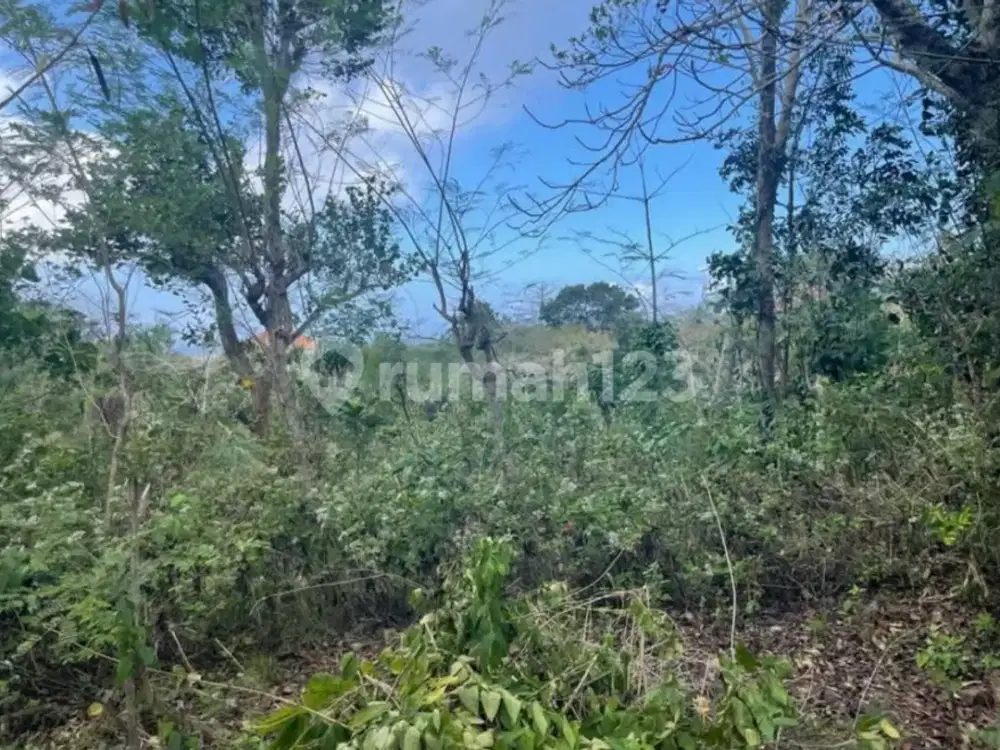 Tanah Luas Akses 7 Meter di Belimbing Sari - Potensi Cluster & Villa Premium