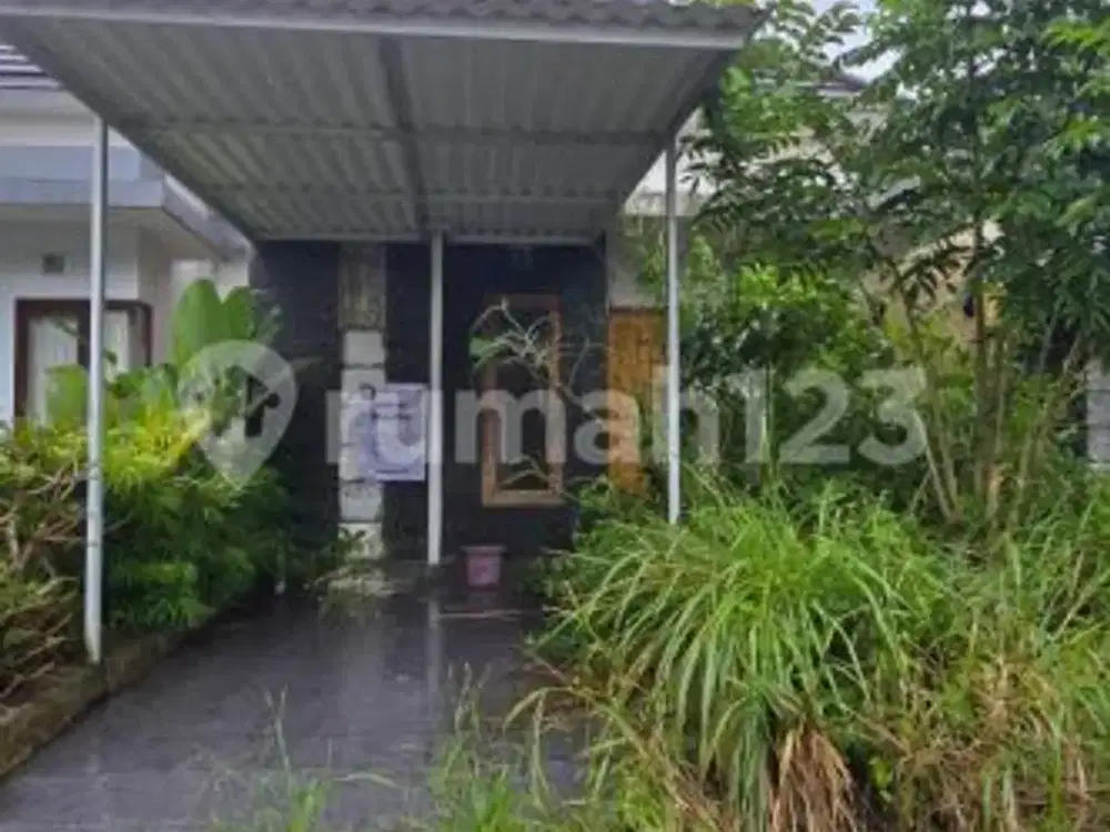 Rumah Lelang Murah di Tabanan - Tanah 91 M², SHM, Harga 375 Juta!