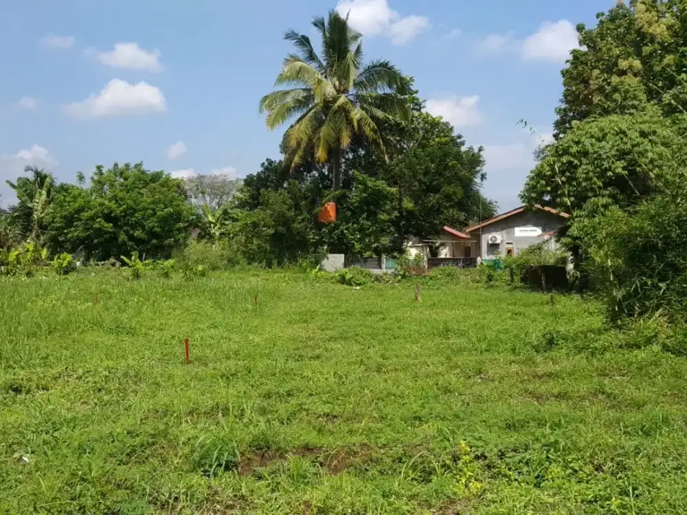 Tanah Kavling Ciomas SHM Siap Balik Nama - Lingkungan Nyaman Dalam Perumahan - 15 Menit BTM Mall - Cocok Invest/Hunian