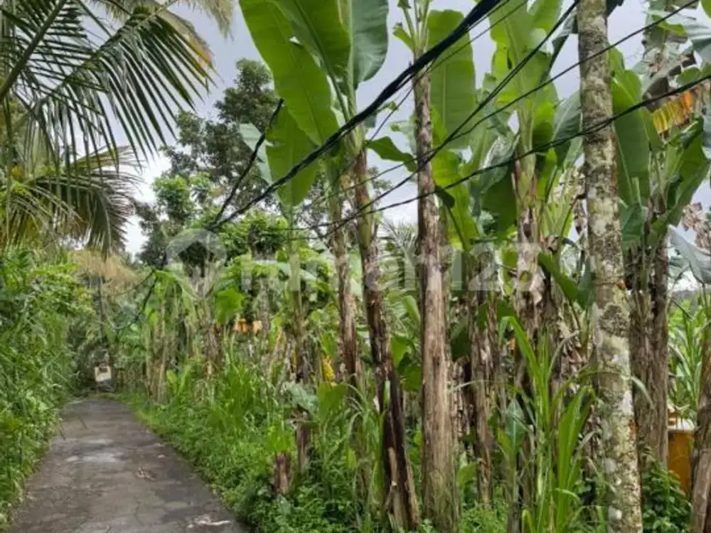 Tanah 40 Are View Gunung & Sungai di Kerta Payangan Gianyar