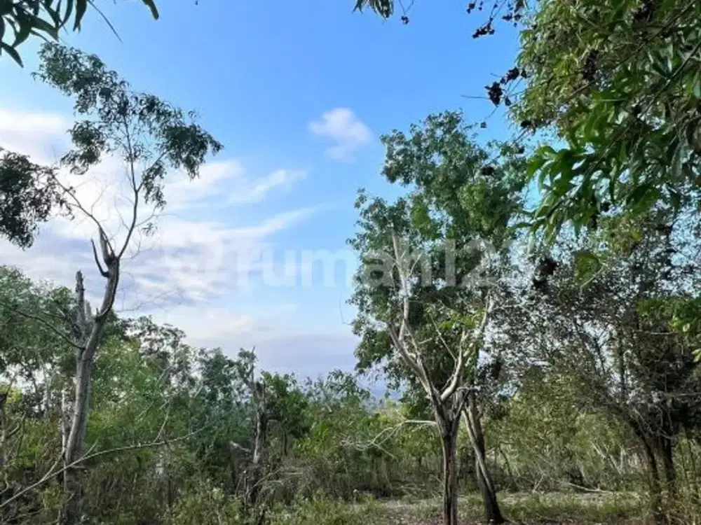 Tanah 60 Are Full View di Bukit Jimbaran - Dekat Gwk, Cocok Villa Resort & Investment Project