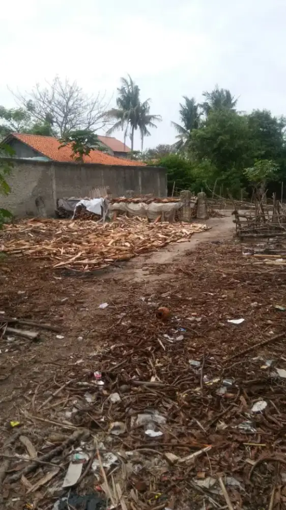 Jual Tanah 1300m2 Mauk Tanjung Kait