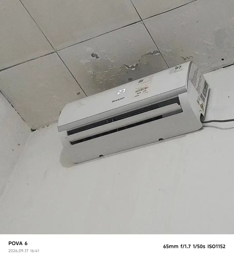 AC Sharp 1/2 PK