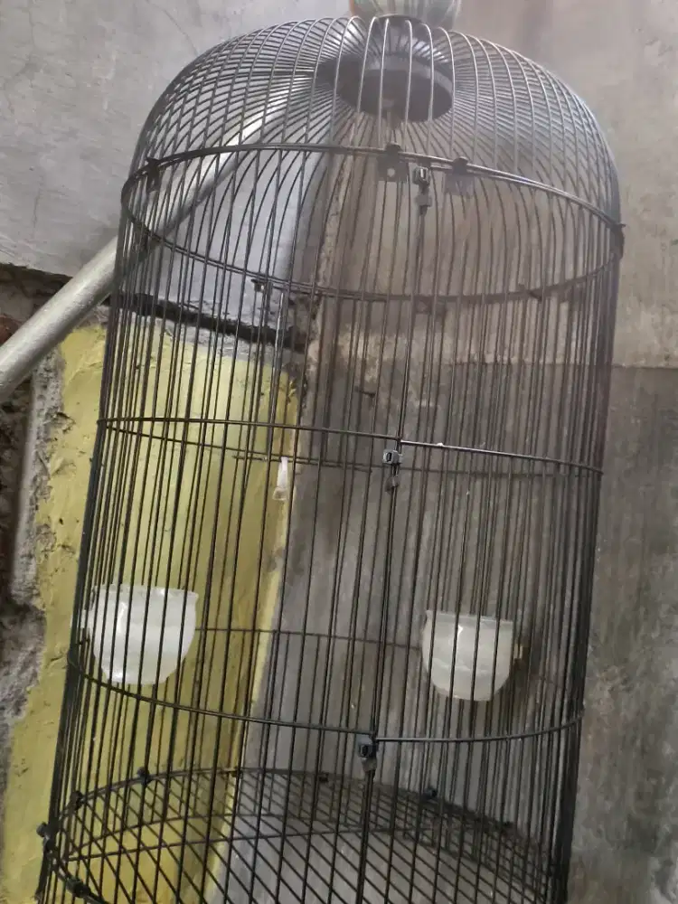 kandang Lovebird