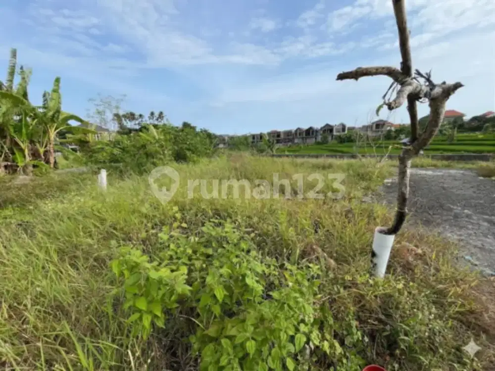 Tanah Strategis 140 M² Area Gunung Salak Denpasar Barat - Lingkungan Villa Elit dengan View Sawah