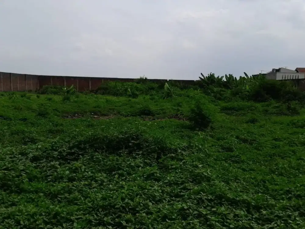 Dijual NEGO Tanah Jl. Raya Dangdeur Rancaekek - Majalaya [ID 642]