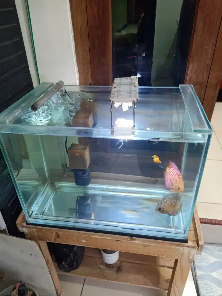 Aquarium & Ikan discus fullset murah aja