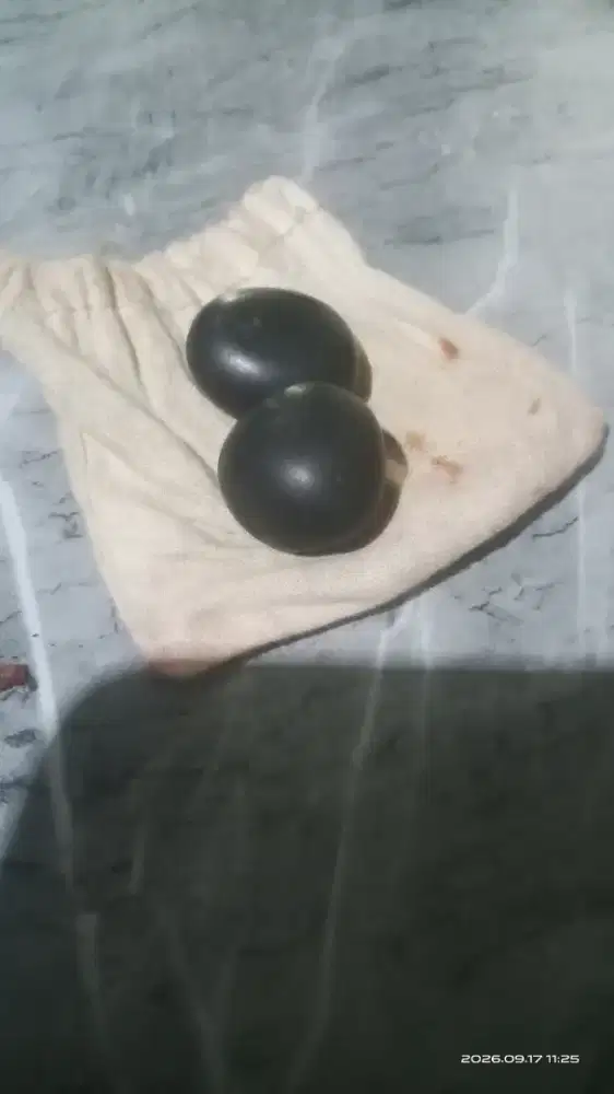 Batu mustika hitam tinggalan.