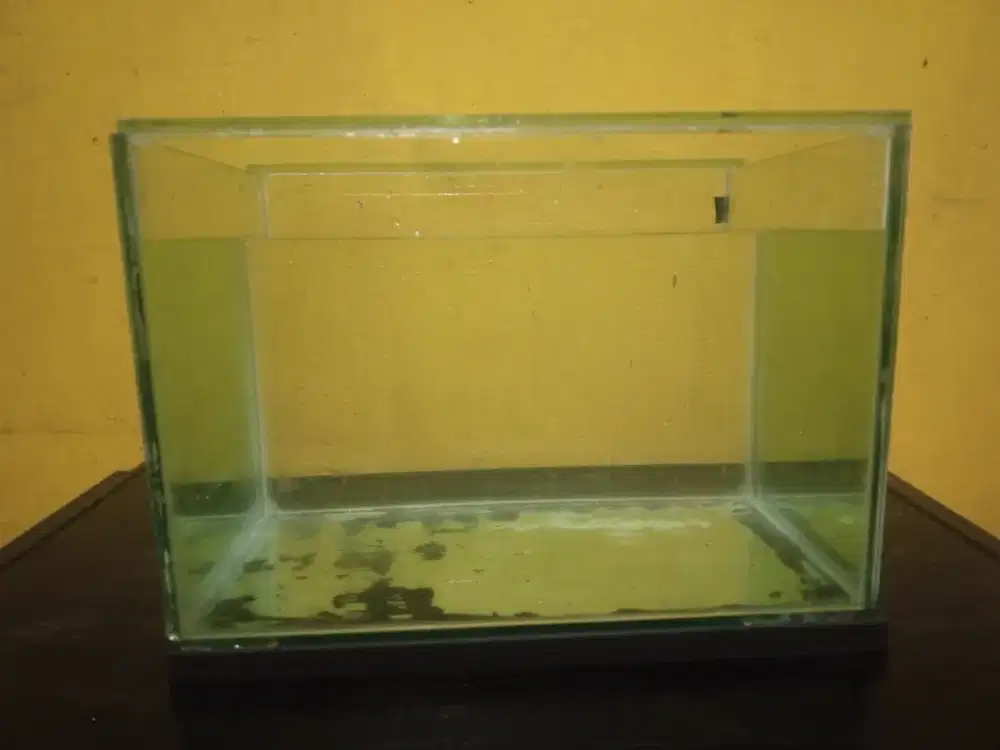 Aquarium 30x20x20