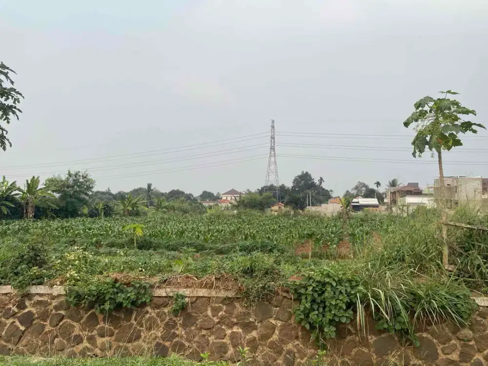 Di  jual Tanah 2465 m² Pinggir Jalan – Cocok Ruko & Minimarket harga masih bisa Nego