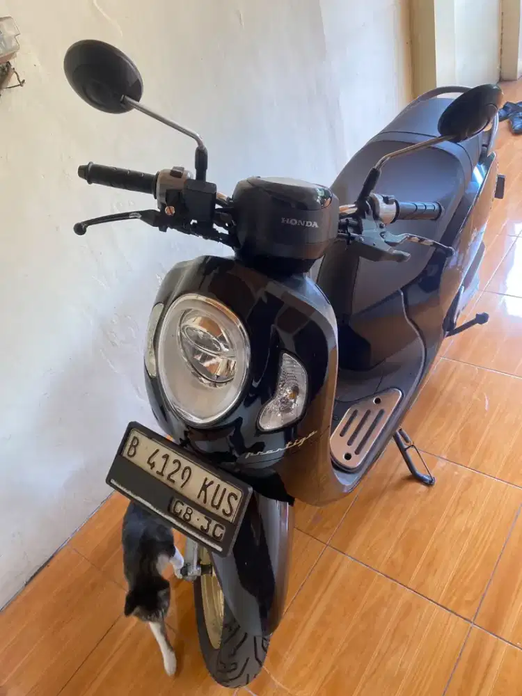 Scoopy prestige