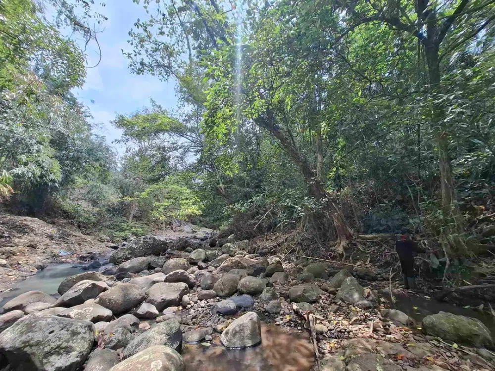 Dijual tanah kebun los sungai lokasi sangat strategis dekat dengan fasilitas umum dan tempat wisata di tabanan bali