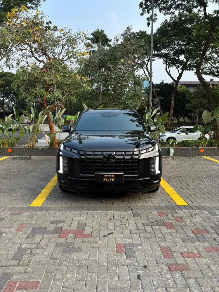 Hyundai Palisade Signature Facelift 2023 DELETED CHROME FULL BLACK