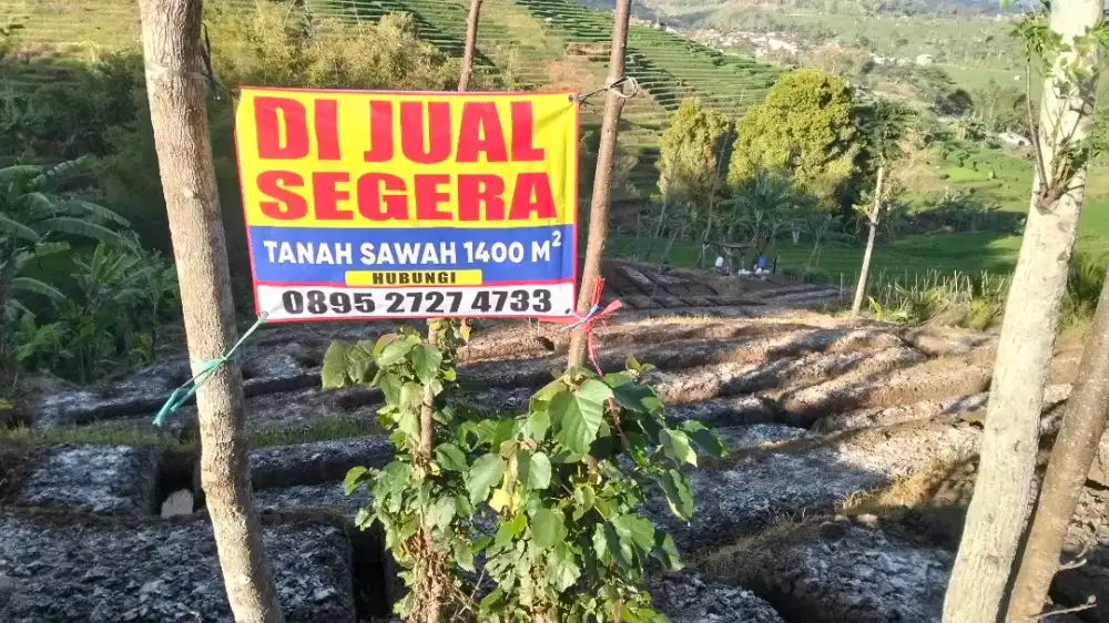 Di Jual Cepat Tanah Sawah Blok Cimanglid Desakolot Cilawu Garut