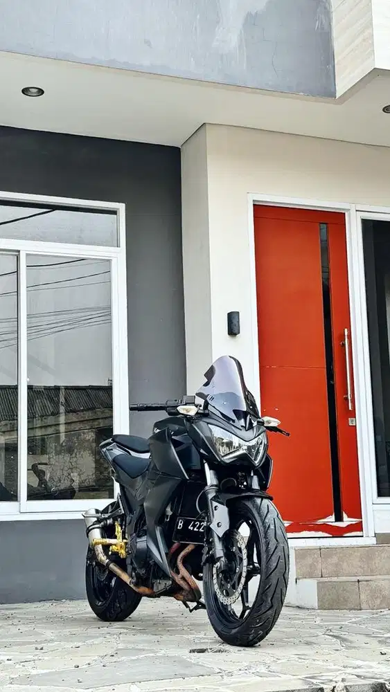 KAWASAKI Z250 Terawat