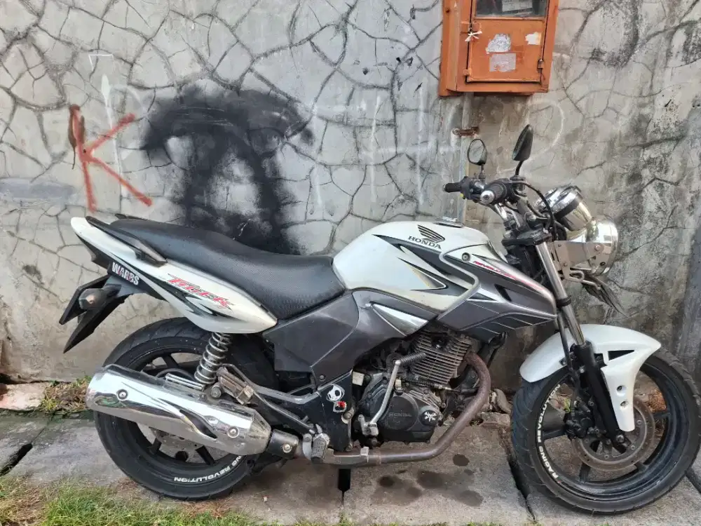 Jual cepet tiger revo albino 2013