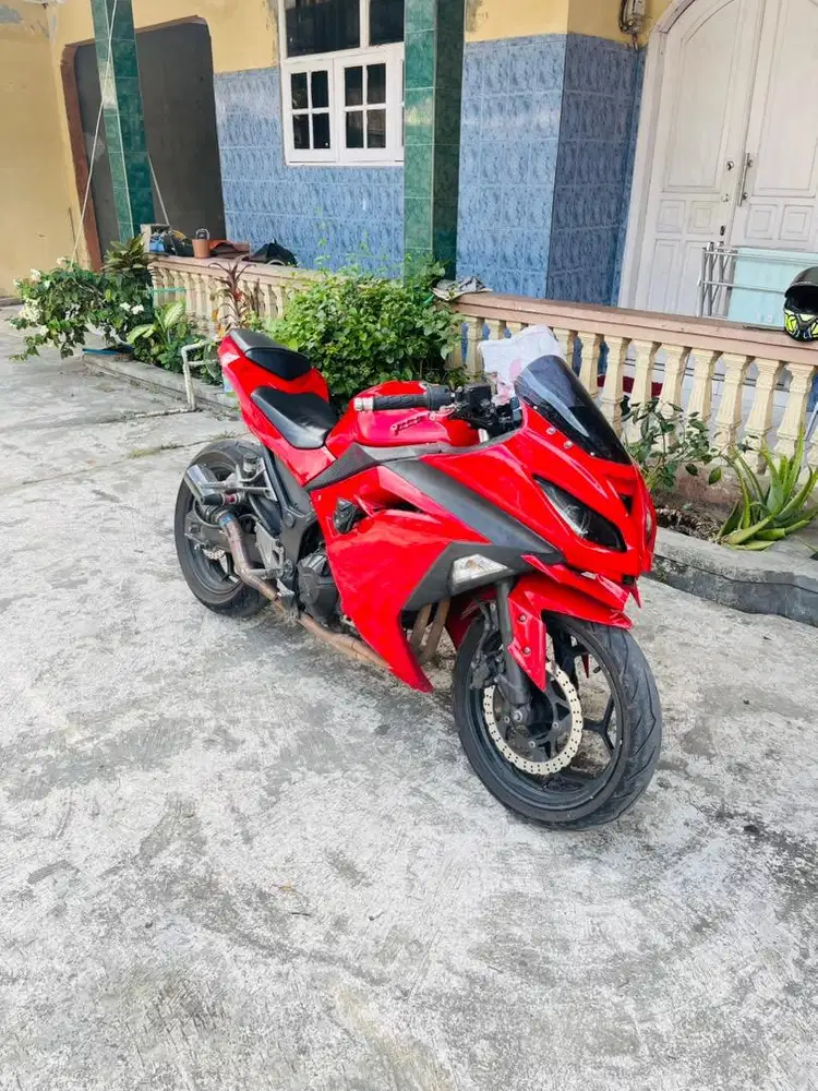 Ninja F1 250 2013