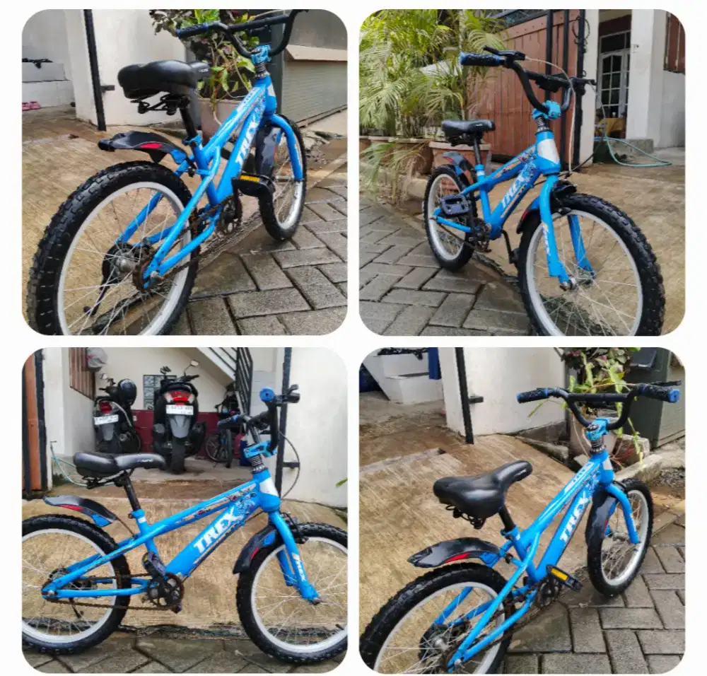 Sepeda anak 4-8 tahun