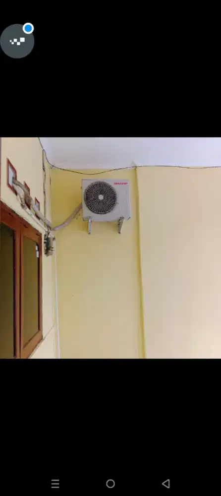 Ac sharp 1/2 pk
