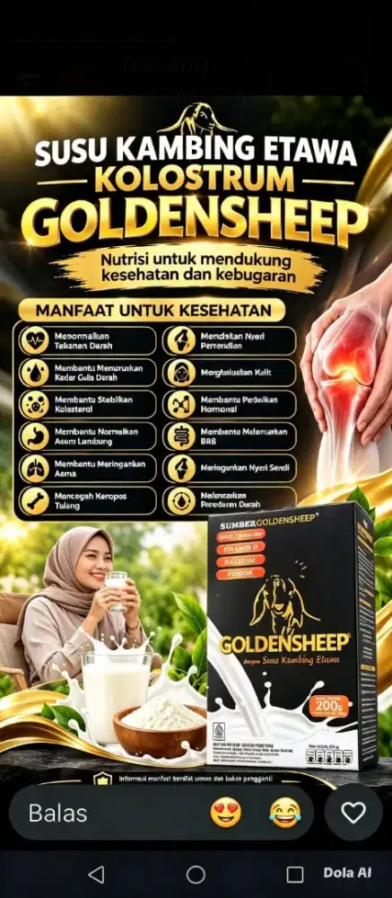 Susu Kambing Etawa Kolostrum Goldensheep