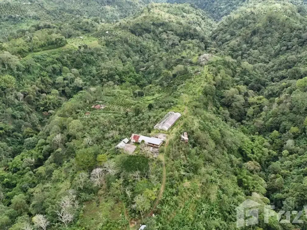 Land for sale in Kintamani, Bali