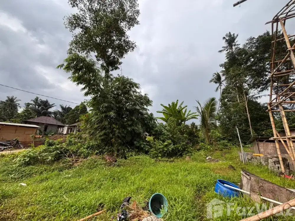 Land for sale in Sayan, Bali
