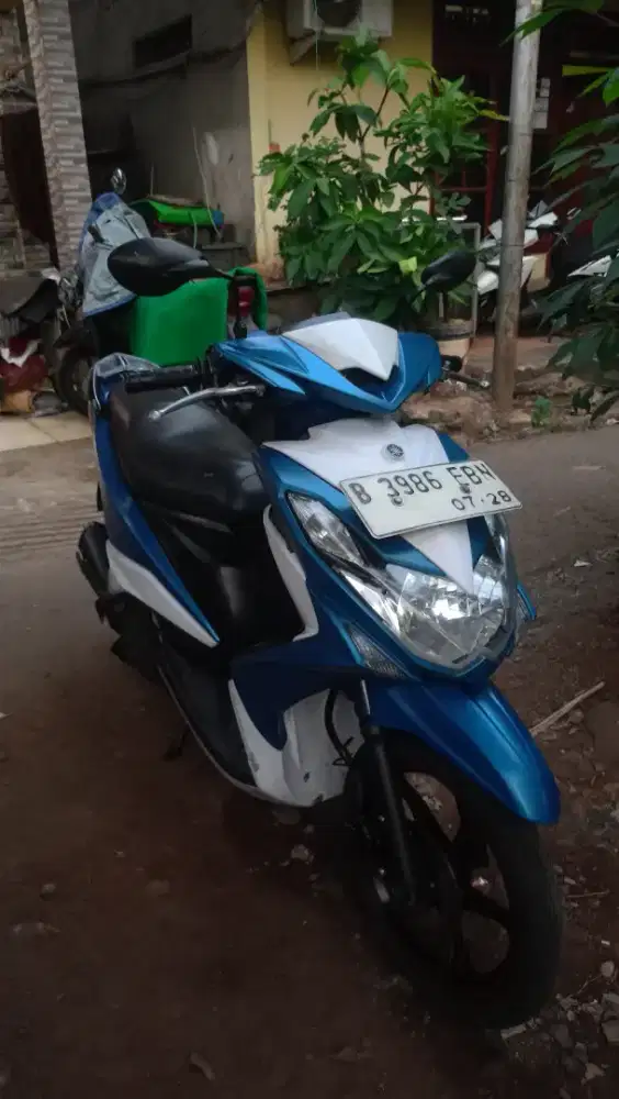 Xeon rc 2013 pajak mati 2 tahun