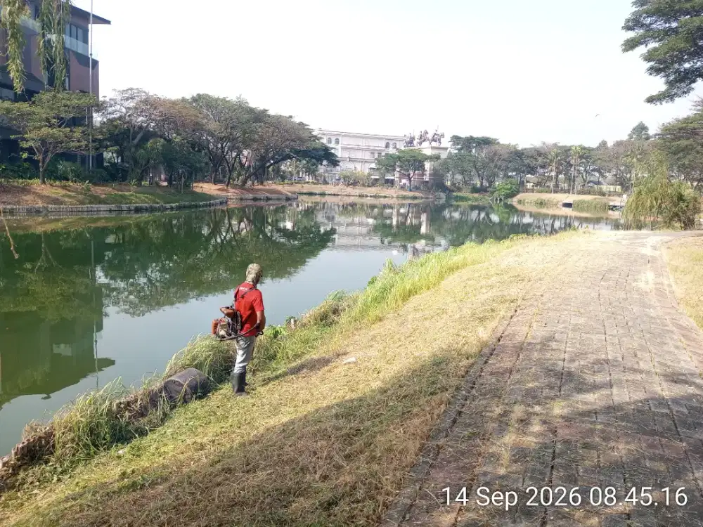 Terima jasa rawat taman