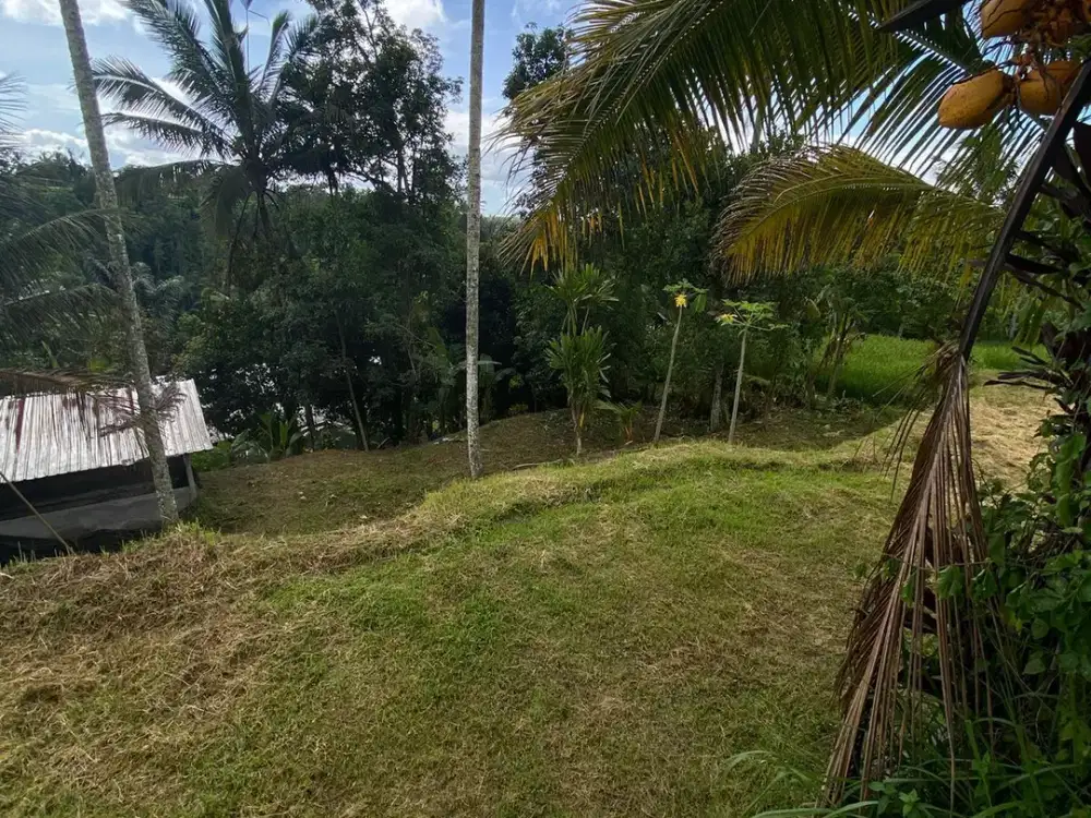 Land for sale in Tegallalang, Bali