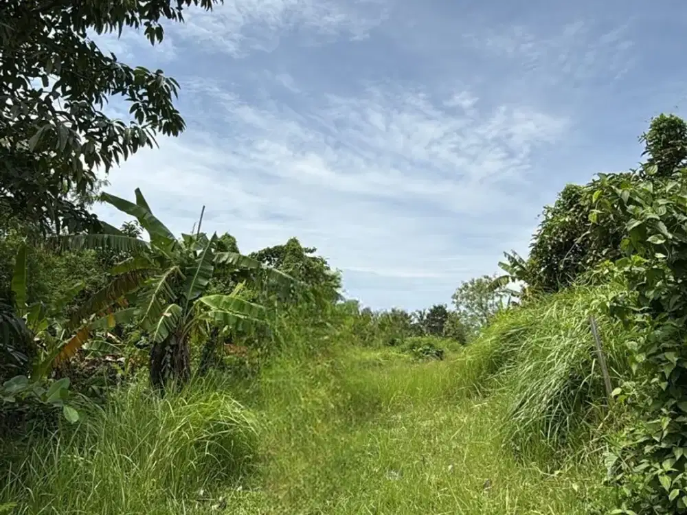 Land for sale in Balian, Bali