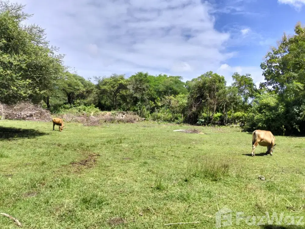 Land for sale in Jimbaran, Bali