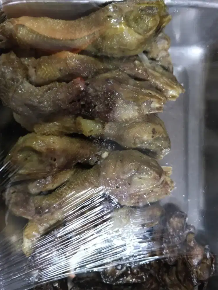 Dicari Karyawan Serabutan Ayam Goreng